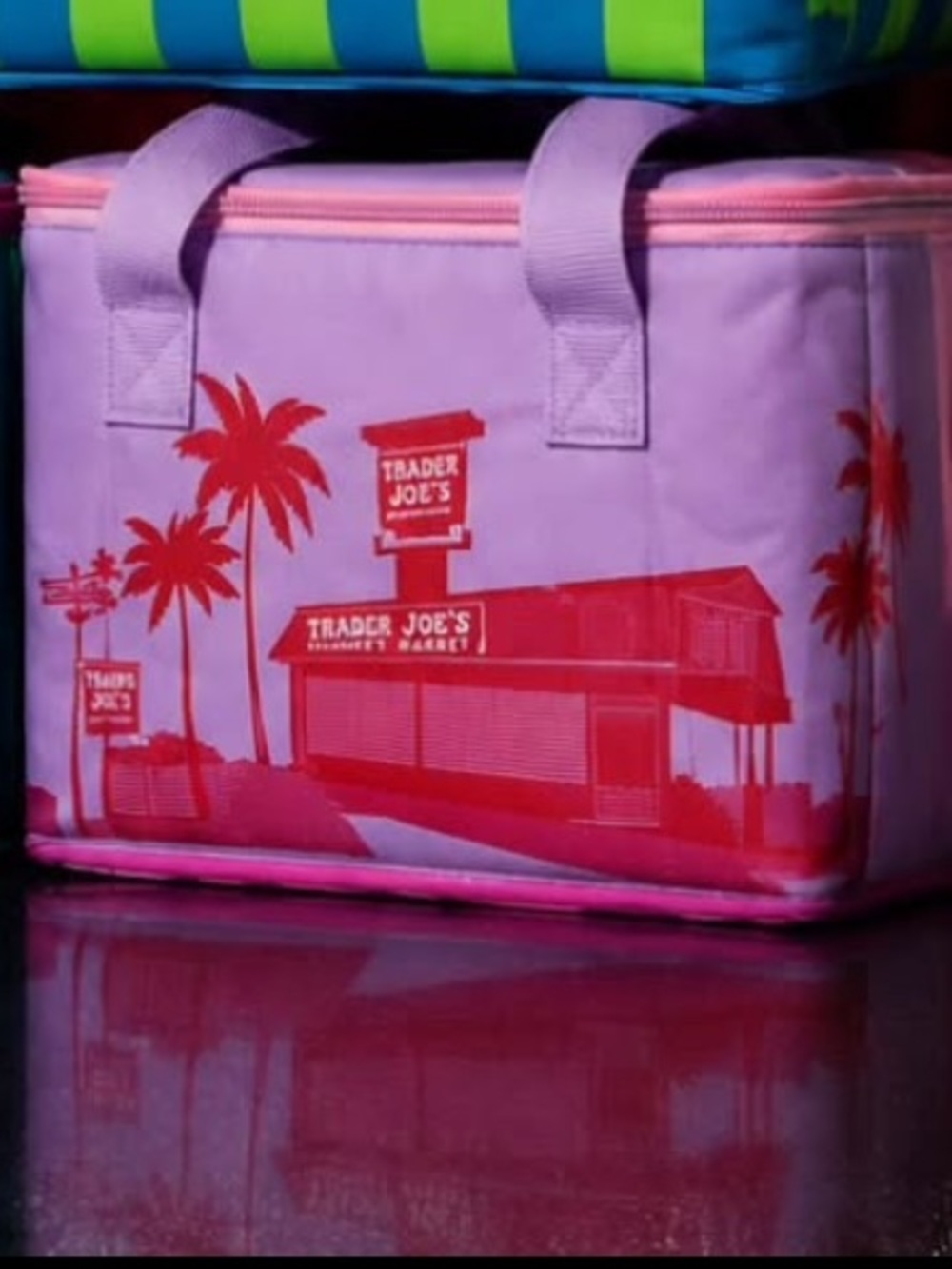 Trader Joe’s Mini Insulated Tote Summer Collection